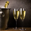 Onbreekbaar luxe Champagne Flute 170ml